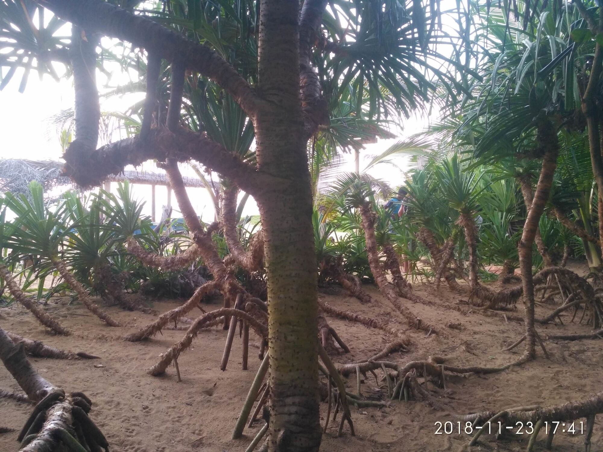 Ravana - Beach Cabanas Hikkaduwa Extérieur photo